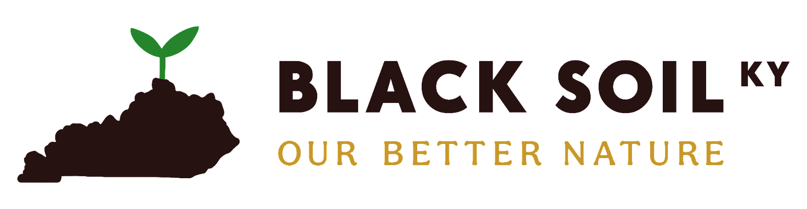 blacksoil logo